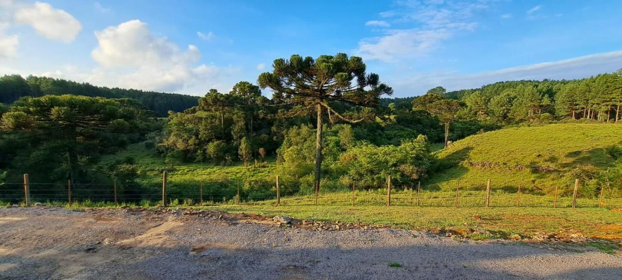 Sitio Passo Do Carro Sao Francisco de Paula (Rio Grande do Sul)